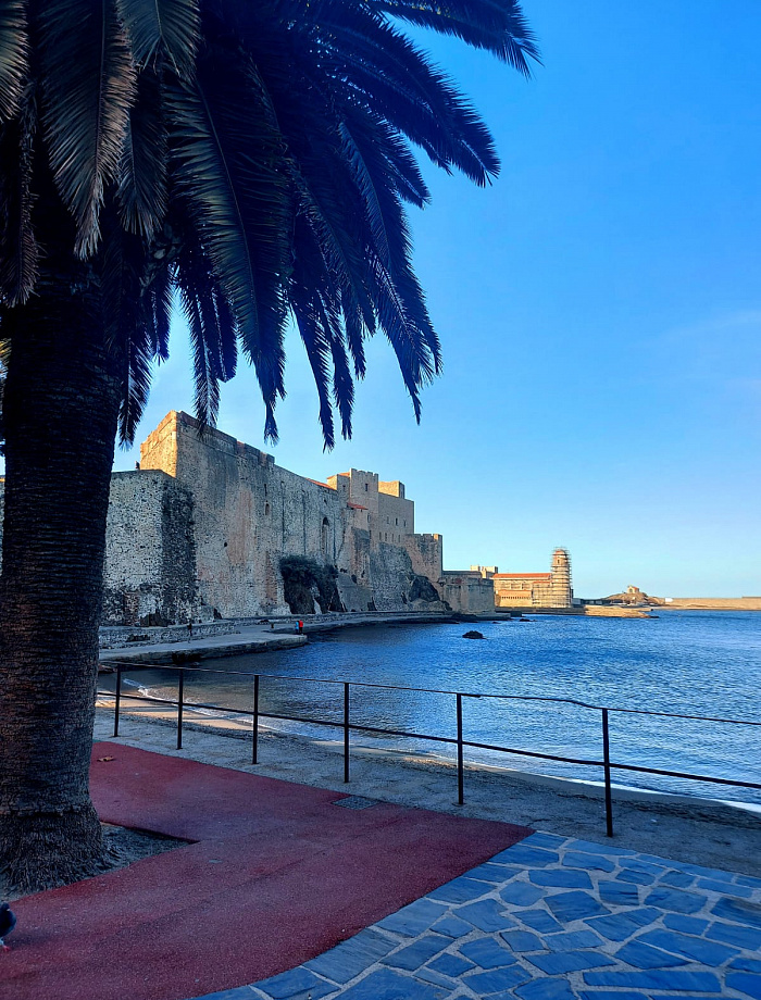 Встречаем зиму на Красном побережье Франции!