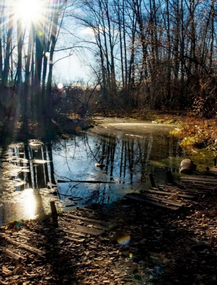 Томские джунгли. Родниковые долины Михайловской рощи